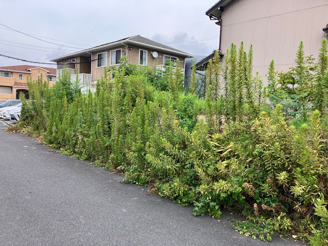 某駐車場工事①
