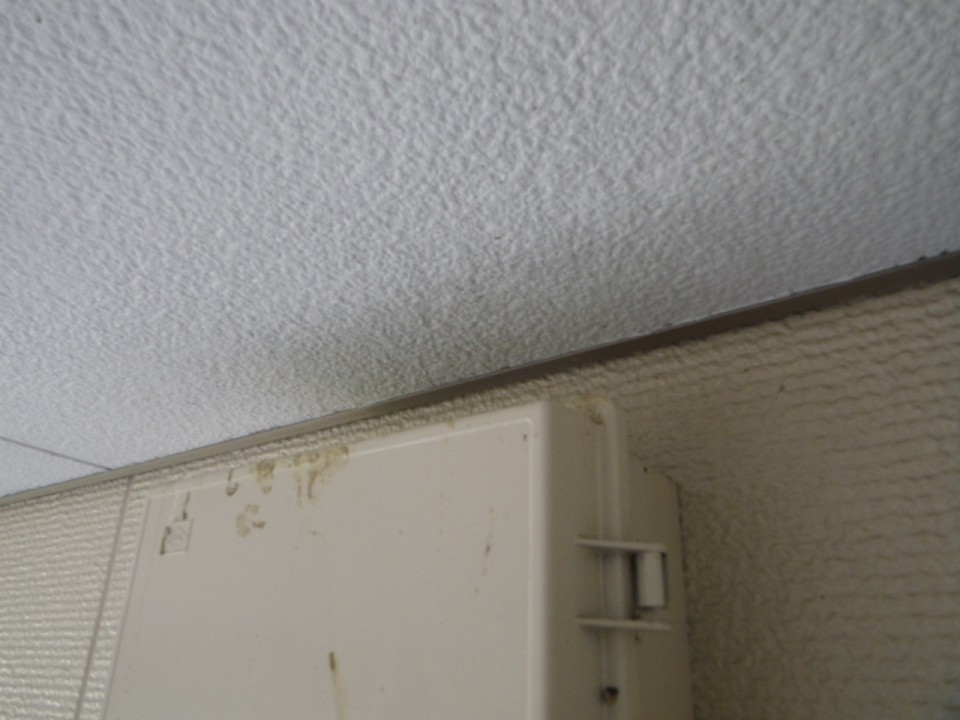 ツバメの巣対策