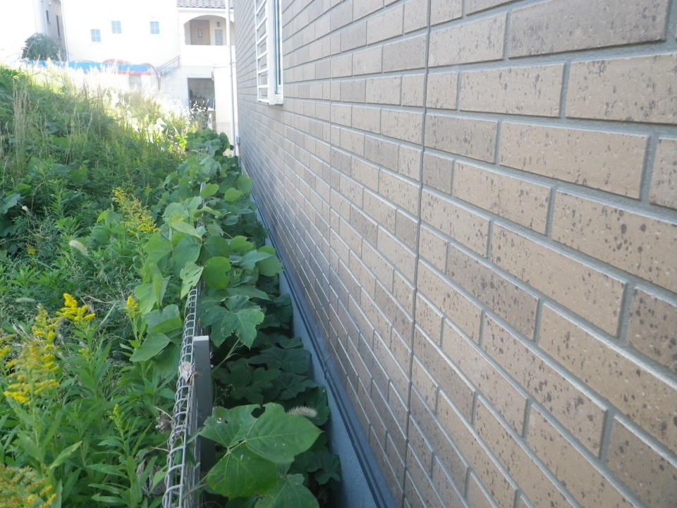 共用部除草